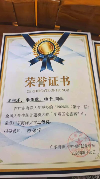 团队荣誉证书